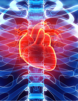 cardiac hospital in pune