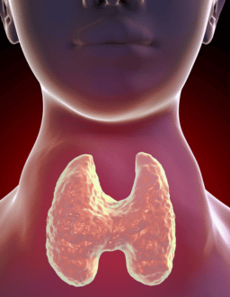 thyroid specialist in kothrud pune